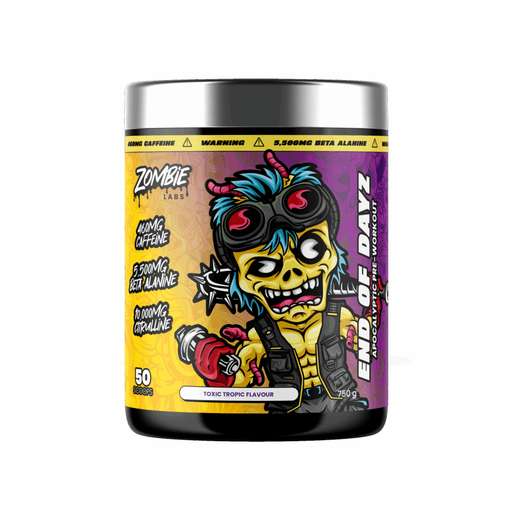 END OF DAYZ BY ZOMBIE LABS